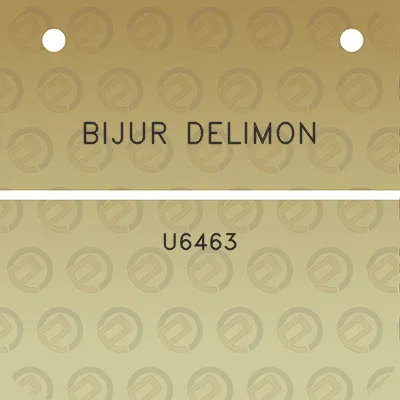 bijur-delimon-u6463