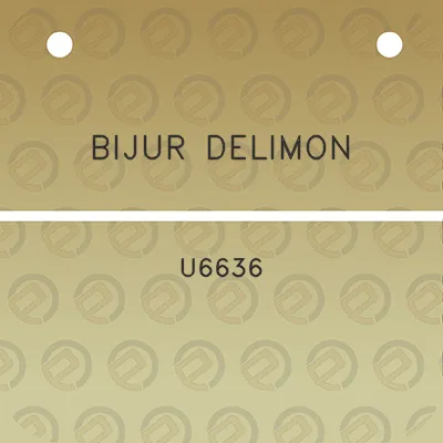 bijur-delimon-u6636