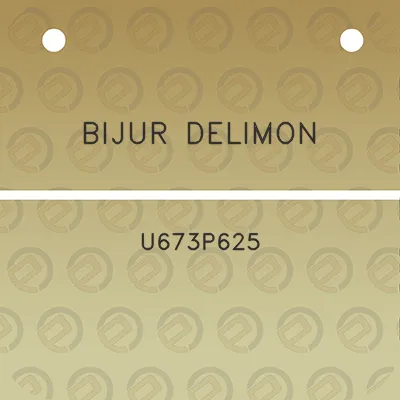 bijur-delimon-u673p625