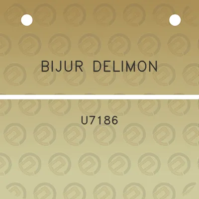 bijur-delimon-u7186