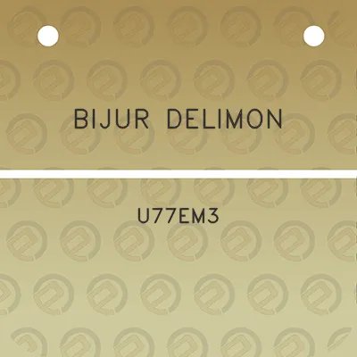 bijur-delimon-u77em3