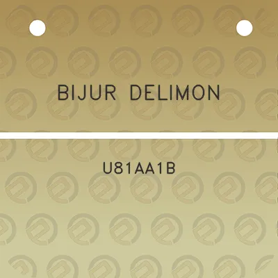 bijur-delimon-u81aa1b