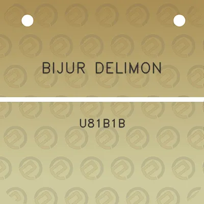 bijur-delimon-u81b1b