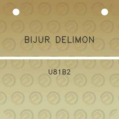 bijur-delimon-u81b2