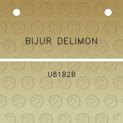 bijur-delimon-u81b2b