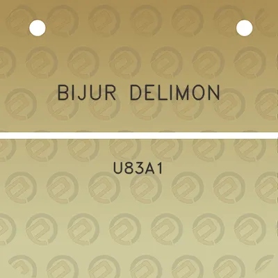 bijur-delimon-u83a1