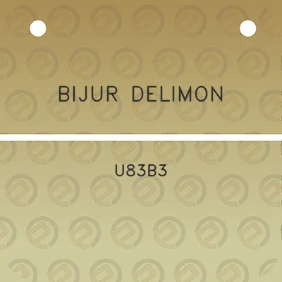 bijur-delimon-u83b3