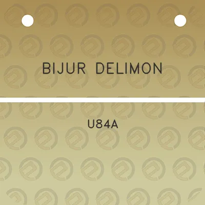 bijur-delimon-u84a