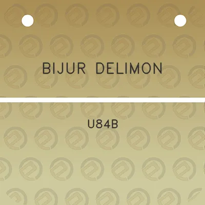 bijur-delimon-u84b