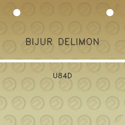 bijur-delimon-u84d