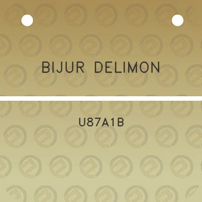 bijur-delimon-u87a1b