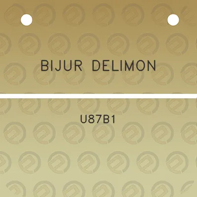 bijur-delimon-u87b1