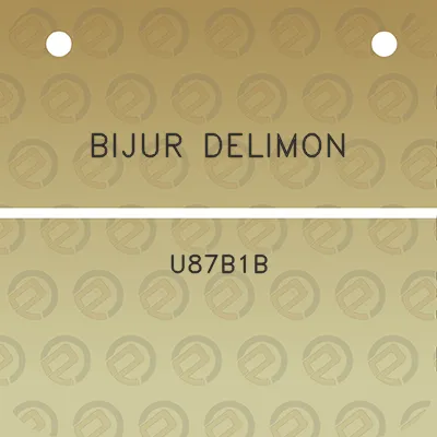 bijur-delimon-u87b1b