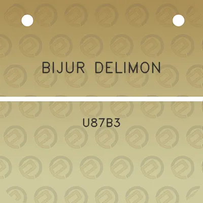 bijur-delimon-u87b3