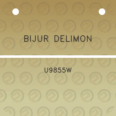 bijur-delimon-u9855w