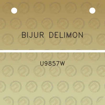 bijur-delimon-u9857w