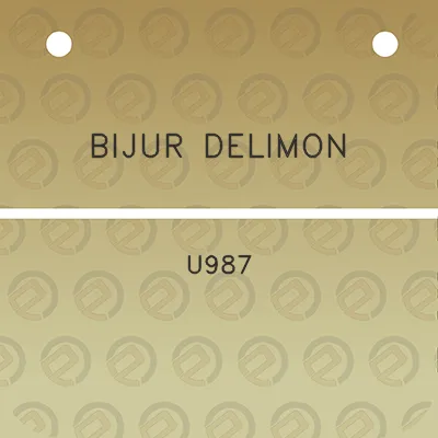 bijur-delimon-u987