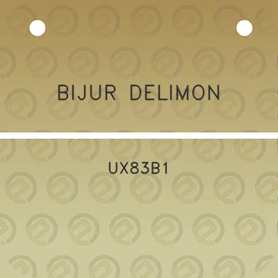 bijur-delimon-ux83b1