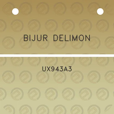 bijur-delimon-ux943a3