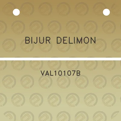 bijur-delimon-val10107b