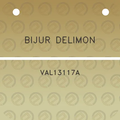 bijur-delimon-val13117a