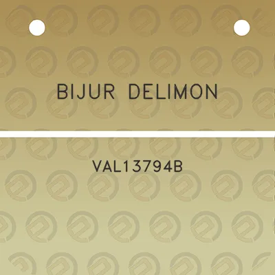 bijur-delimon-val13794b