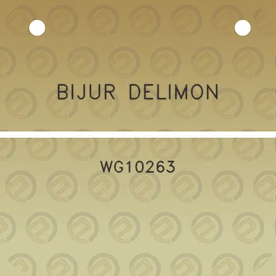 bijur-delimon-wg10263