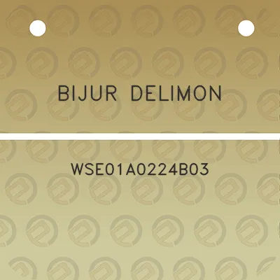 bijur-delimon-wse01a0224b03