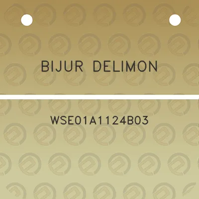 bijur-delimon-wse01a1124b03