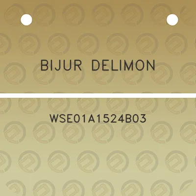 bijur-delimon-wse01a1524b03