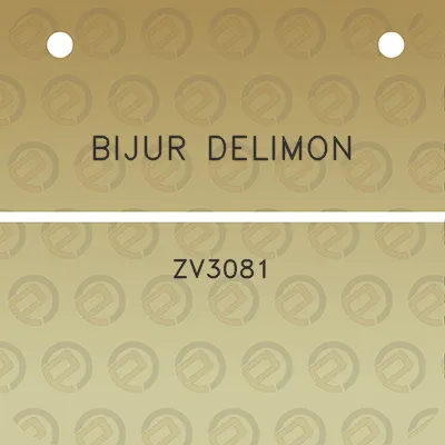 bijur-delimon-zv3081