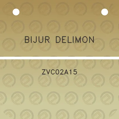 bijur-delimon-zvc02a15