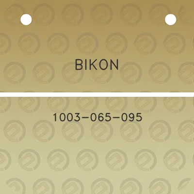 bikon-1003-065-095