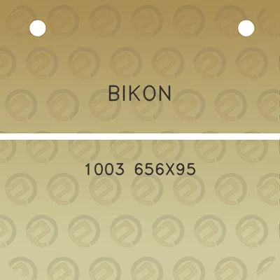 bikon-1003-656x95