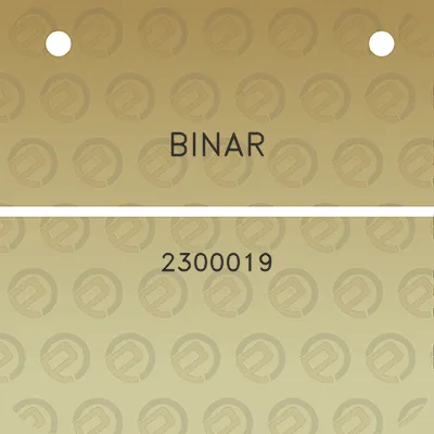 binar-2300019