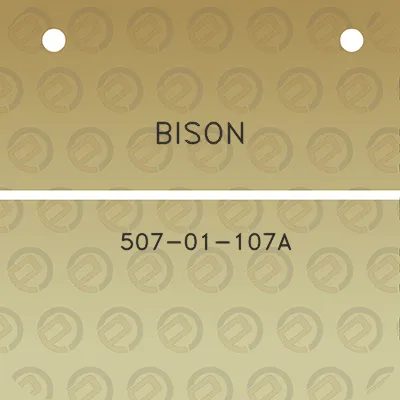 bison-507-01-107a