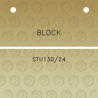 block-stu13024