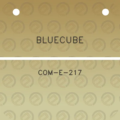 bluecube-com-e-217