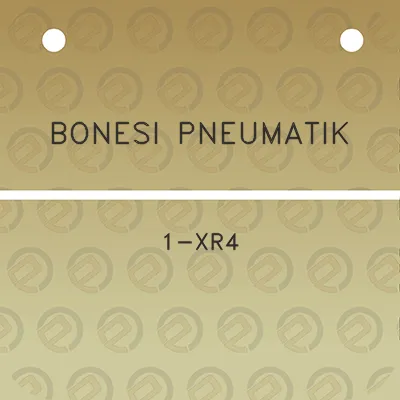 bonesi-pneumatik-1-xr4