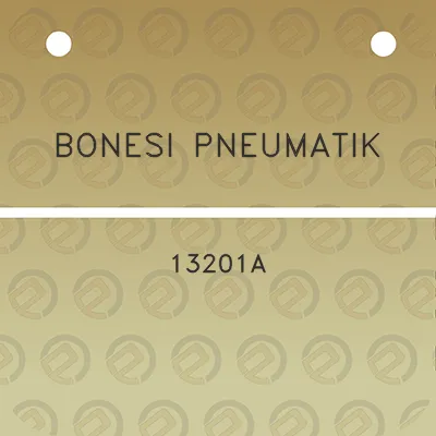 bonesi-pneumatik-13201a