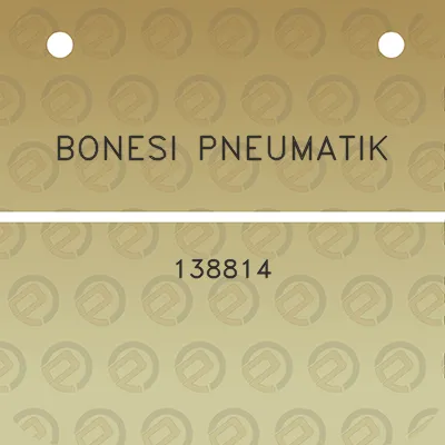 bonesi-pneumatik-138814