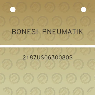 bonesi-pneumatik-2187us0630080s