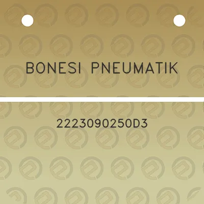 bonesi-pneumatik-2223090250d3