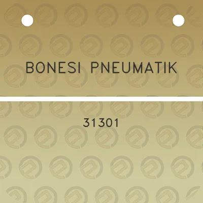 bonesi-pneumatik-31301