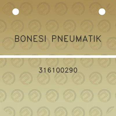 bonesi-pneumatik-316100290