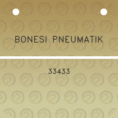 bonesi-pneumatik-33433