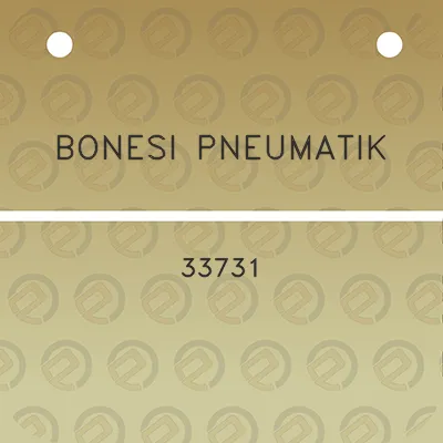 bonesi-pneumatik-33731