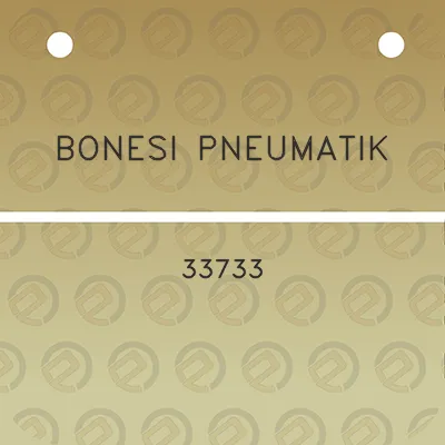 bonesi-pneumatik-33733