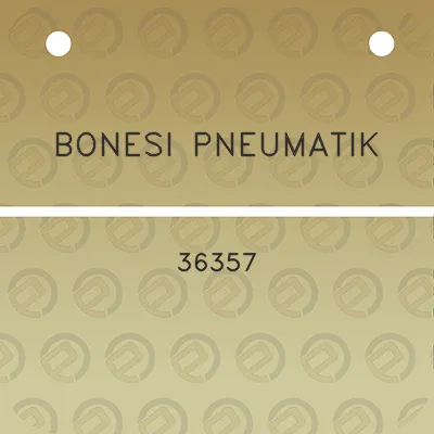 bonesi-pneumatik-36357