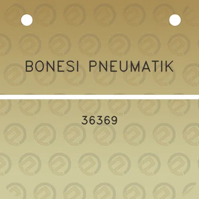 bonesi-pneumatik-36369